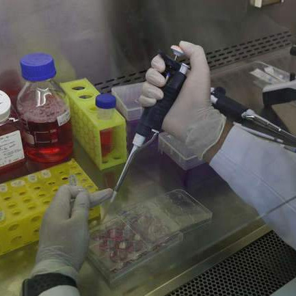 WHO: Imamo sedam do osam 'top' kandidata za vakcinu