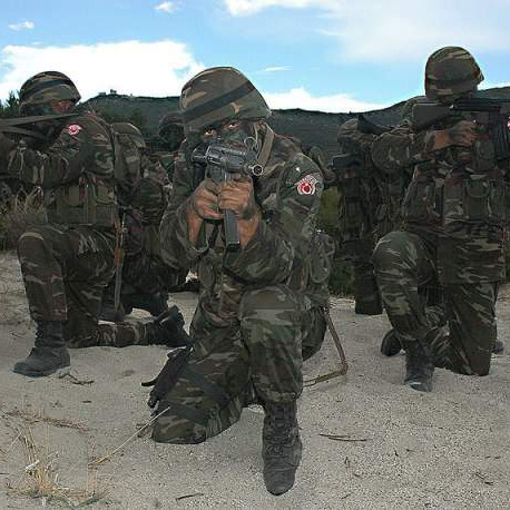 Analiza: Turska vanjska politika i mit o novom osmanskom dobu