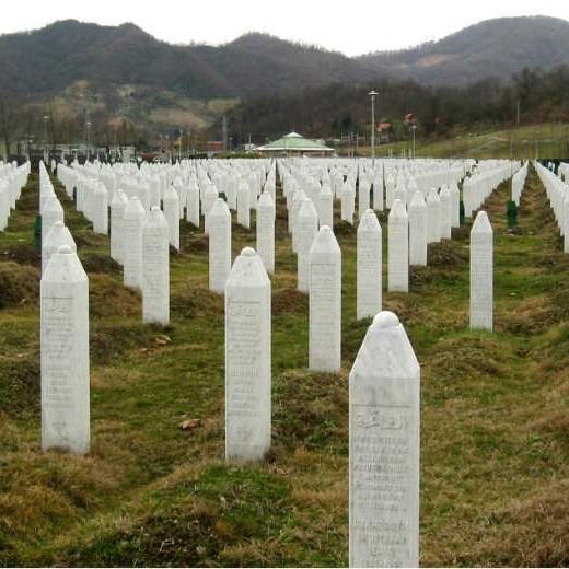 Veliko interesovanje za virtuelnu promociju knjige „Glasovi iz Srebrenice“