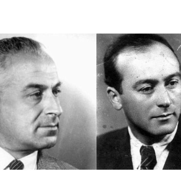 Skender Kulenović o tragičnoj pogibiji Hasana Kikića