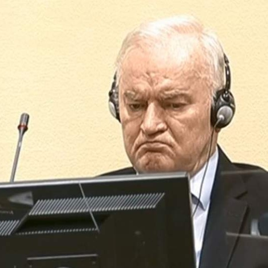 Mladić osuđen pravomoćno na doživotni zatvor