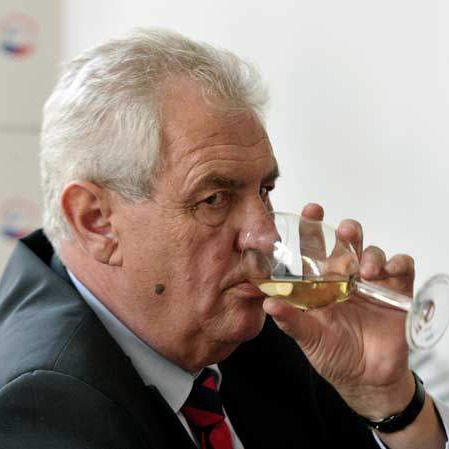 Zeman: BiH može da postane evropska baza islamskih terorista