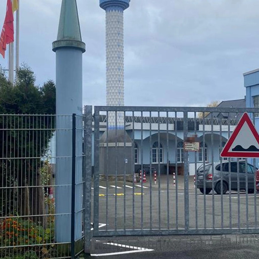 Svinjska glava obješena na vrata džamije u Njemačkoj 