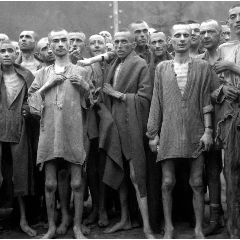 Why do descendants of Jews humiliated by Nazis now humiliate Palestinians?