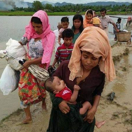 Dr. Fikret Karčić: Smrt i progonstvo - etničko čišćenje Rohingya muslimana