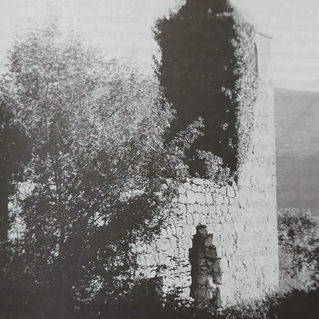 Burna historija Telarevića džamije: Rušile je komite, obnavljana novcem iz Bagdada i Turske, pa ponovo rušena i zaboravljena