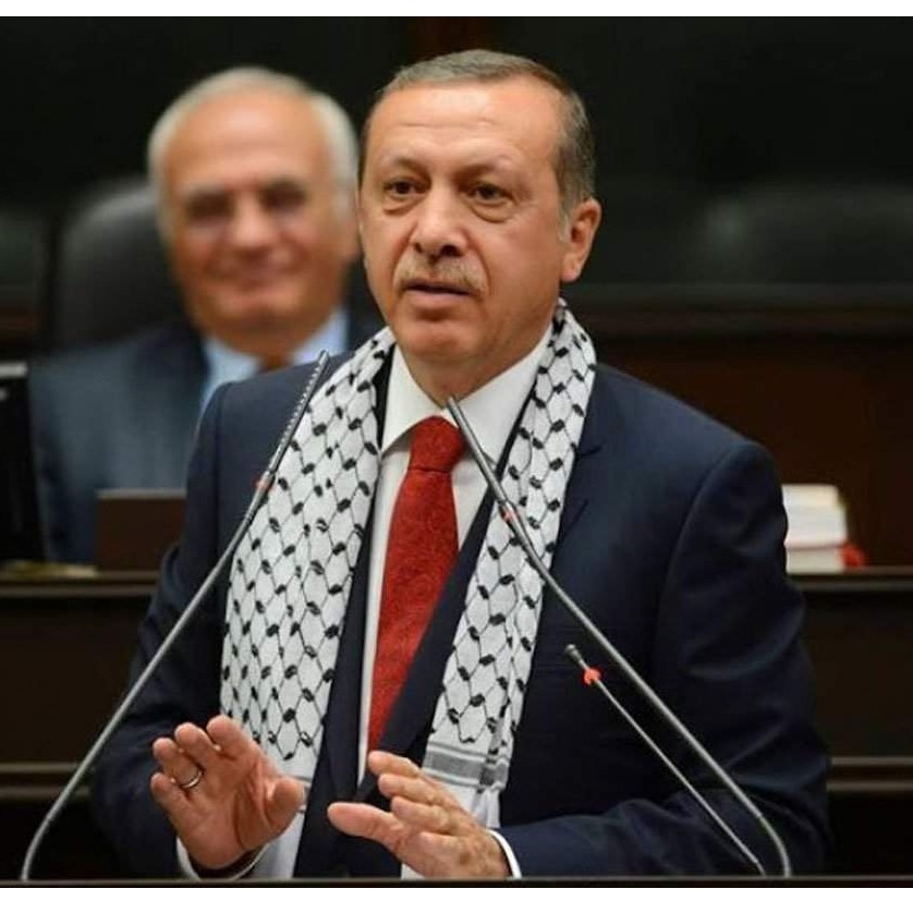 Erdogan: Islamski svijet treba zauzeti odlučniji stav protiv izraelskih napada