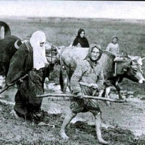 Navršila se 101. godišnjica genocida nad Bošnjacima u Šahovićima (Video)