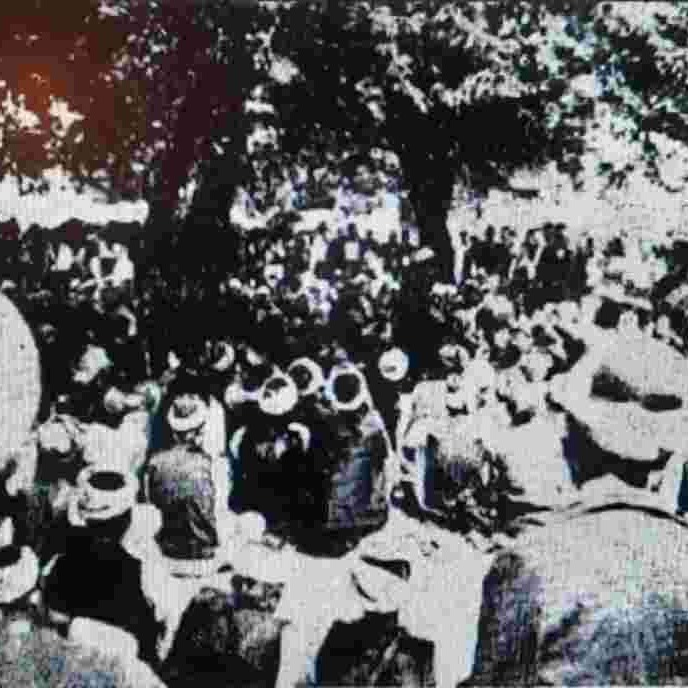 Dr. Suadin Strašević: Svatovac iz ugla istraživača; i još ponešto