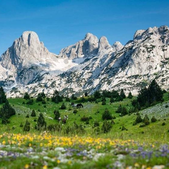 Sjećanje na tekst Sulejmana Suljagića iz 1937. godine: Prenj planina