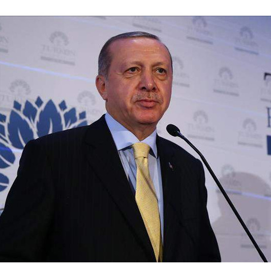 Erdogan: Niko nema pravo da islam poistovjećuje s terorizmom