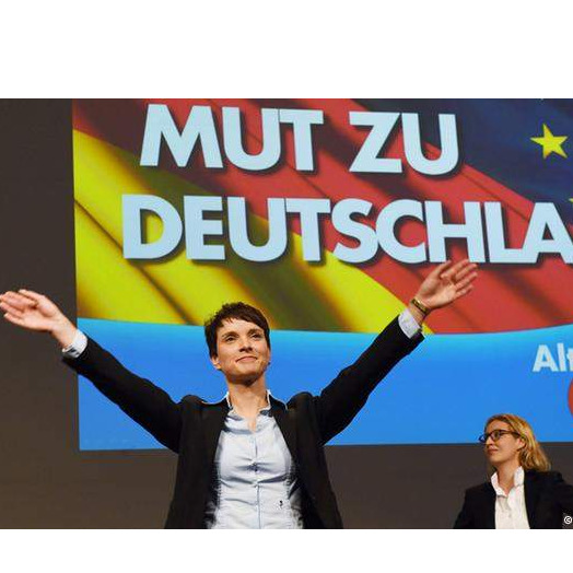 Ironija: Desničarski AfD ima najviše zastupnika sa imigrantskim porijeklom
