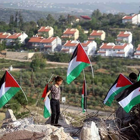 Teror: ﻿Izraelski doseljenici ukrali zalihe maslina u palestinskim selima