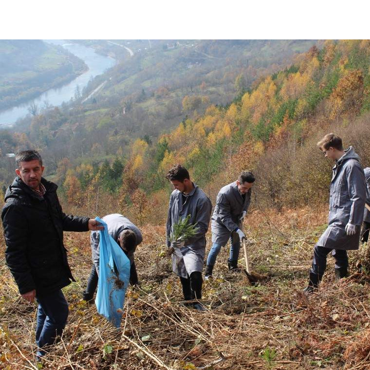 Sjećanje na Srebrenicu: Projekt Memorijalna šuma 8372 bit će završen na proljeće