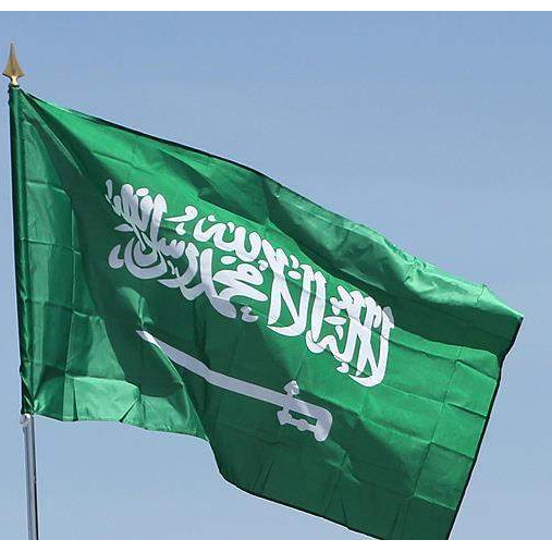 Saudijska Arabija: Zamrznuti računi osoba privedenih zbog korupcije