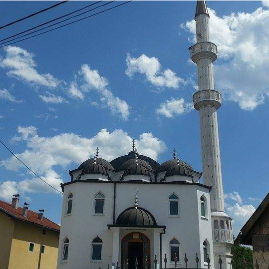 "Neko je krv svoju lio, da bi ti musliman bio"