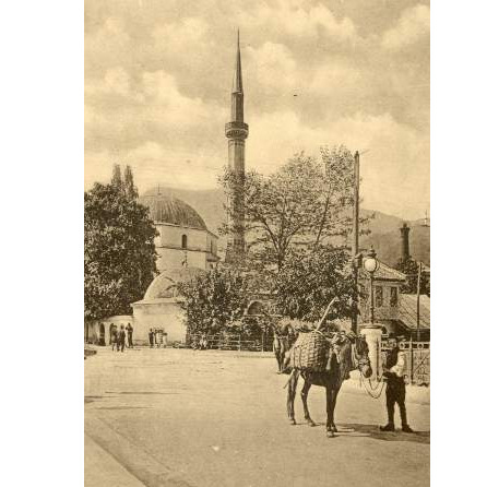 Ko je Bjelopoljac koji je prvi osnovao samostalnu biblioteku u Sarajevu