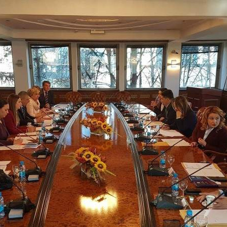 Komisija Narodne skupštine i Vijeća naroda RS-a o nazivu bosanski jezik 