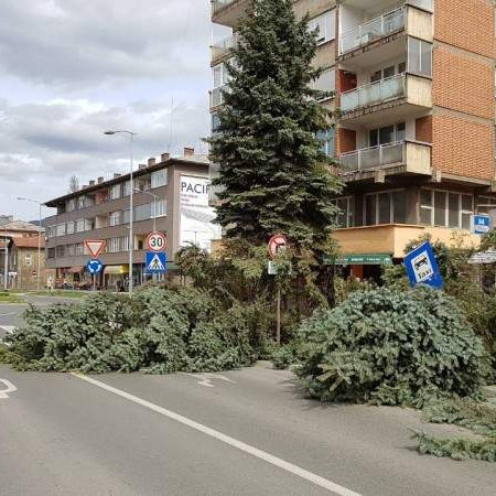 Nevrijeme: Vjetar lomio drveće u Zenici