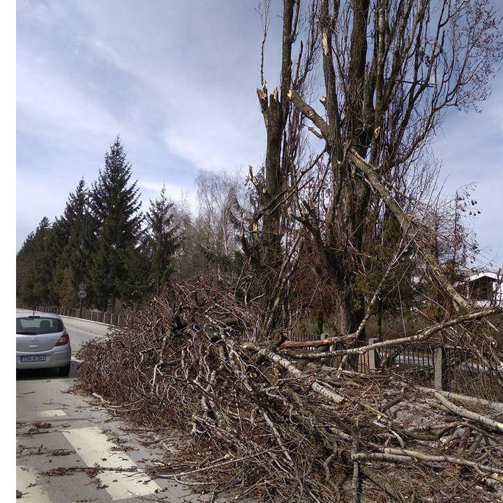 Vjetar čupao stabla i metalne predmete