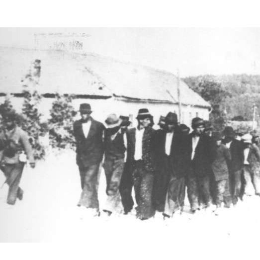 Muslimanske rezolucije iz 1941: Prvi glas protiv fašizma
