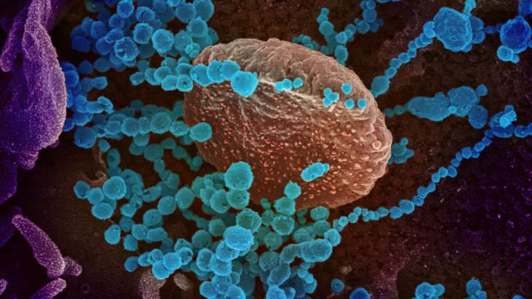 Stručnjaci: Korona virus mutira i ima osam tipova