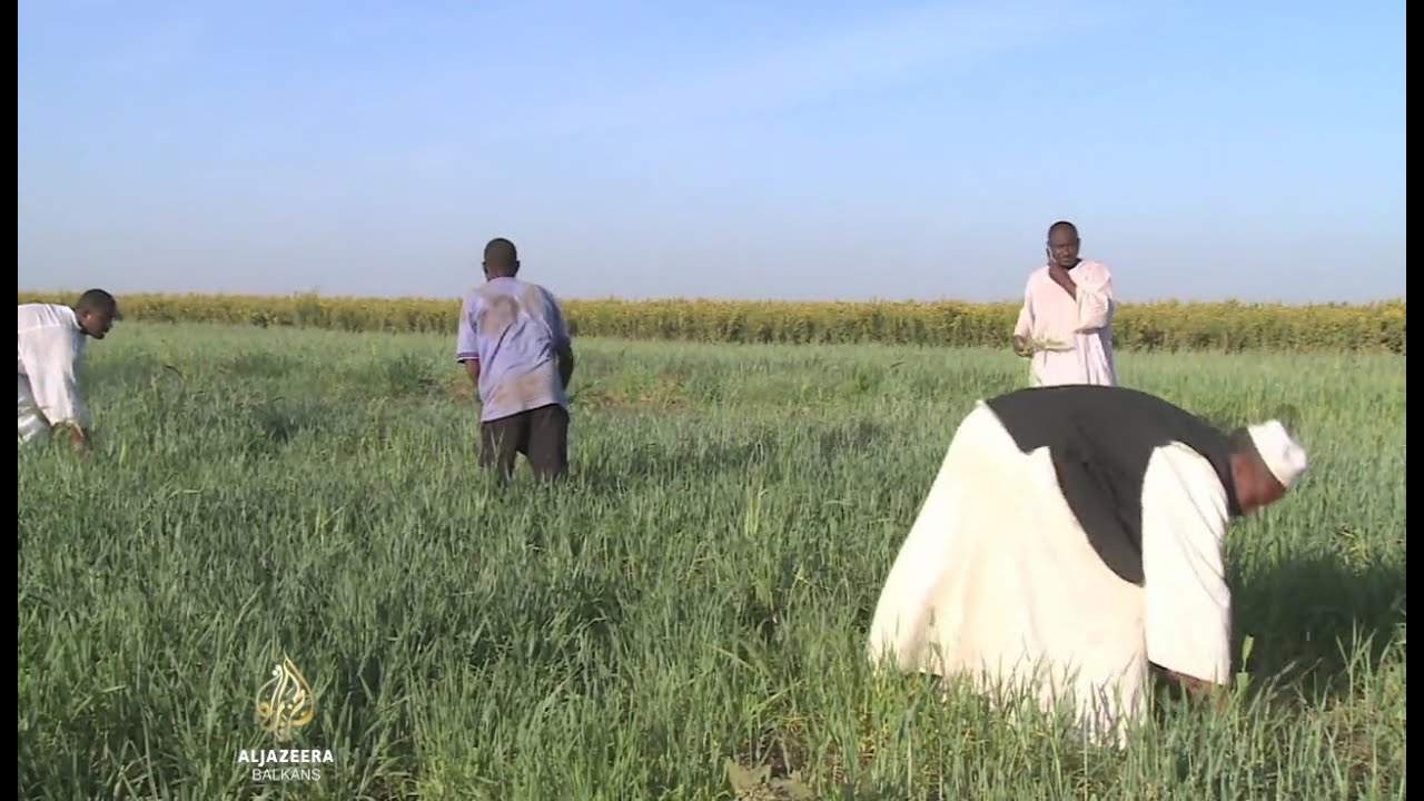 Al Jazeera Svijet: Muke poljoprivrednika - pandemija, suša, izgradnja hidroelektrana (Video)