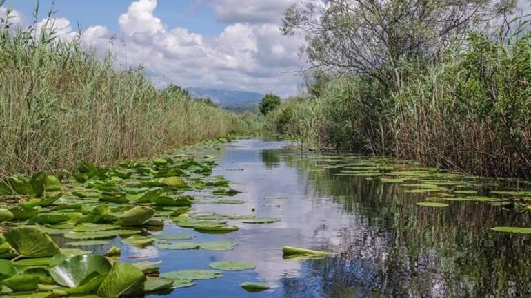 Šta je 'Plava propusnica' između BiH, Crne Gore i Hrvatske