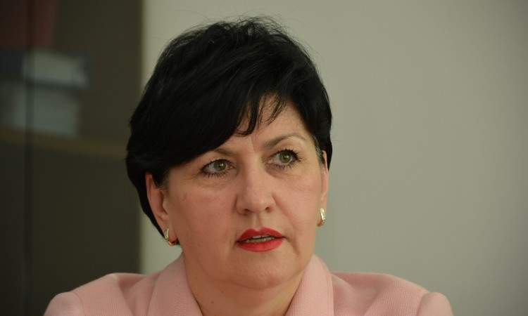 Ministarstvo za ljudska prava i izbjeglice predstavlja portal za dijasporu