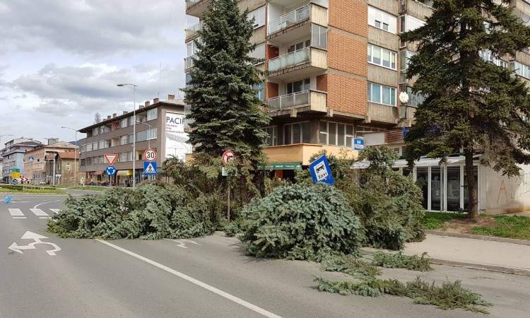 Nevrijeme: Vjetar lomio drveće u Zenici